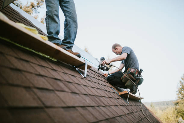 Best Roof Leak Repair  in USA